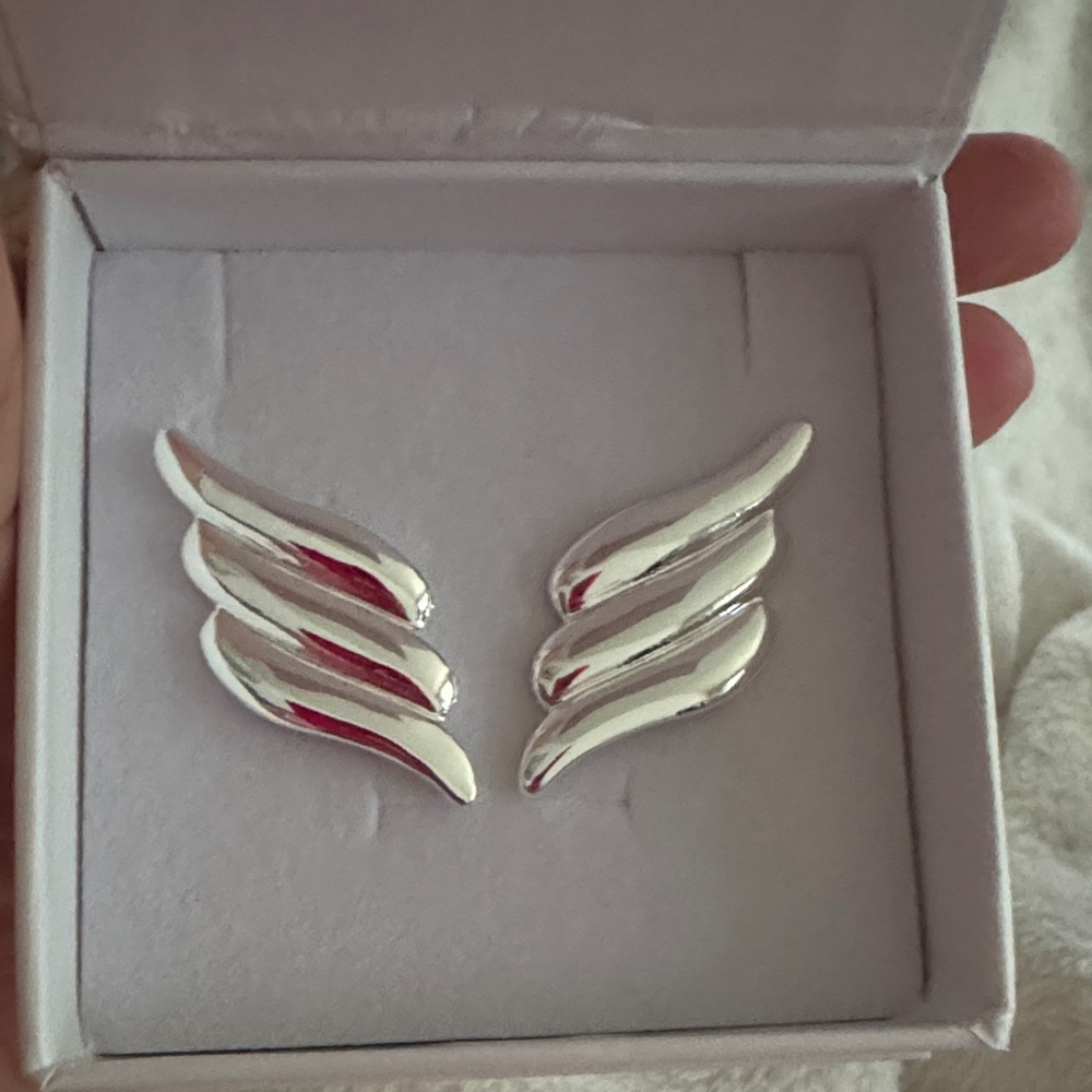 Heaven Mayhem Wing Silver Earrings